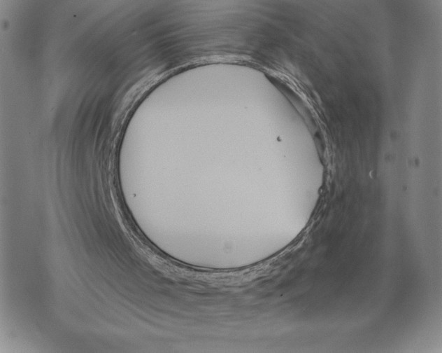 X0000075850001200610151622