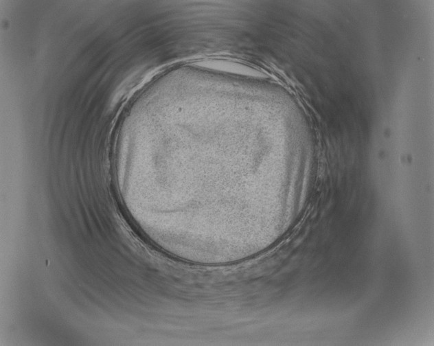 X0000075850002200610151622