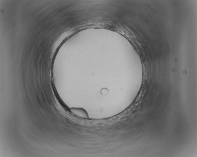 X0000075850003200610151622