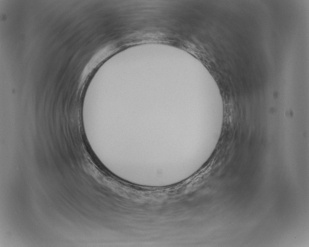 X0000075850004200610151622