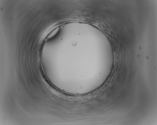 X0000075850005200610151622