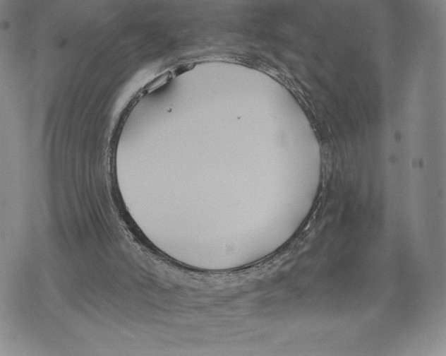 X0000075850006200610151622