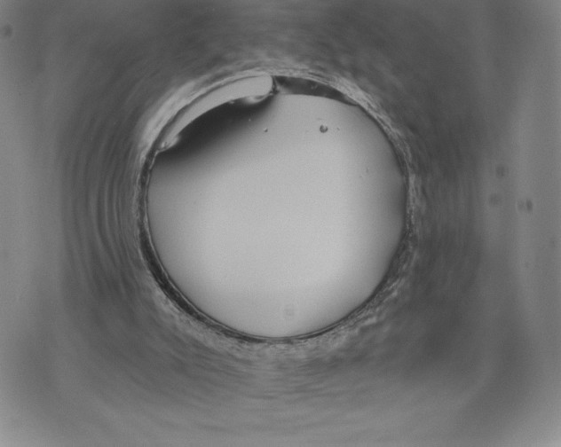 X0000075850007200610151622