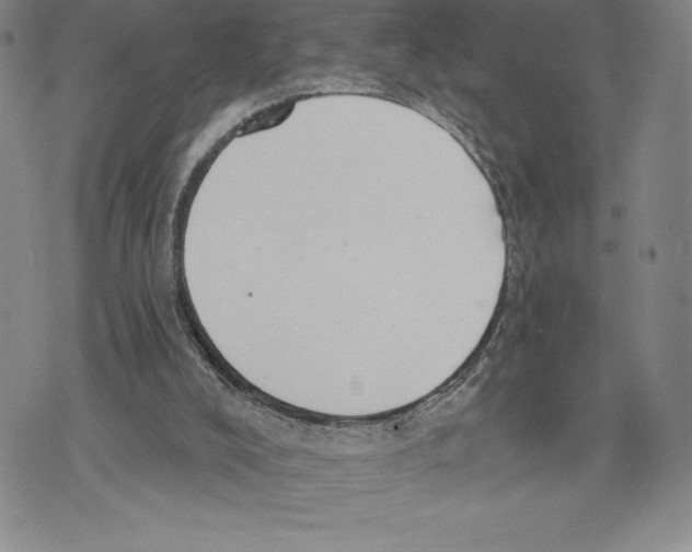 X0000075850008200610151622