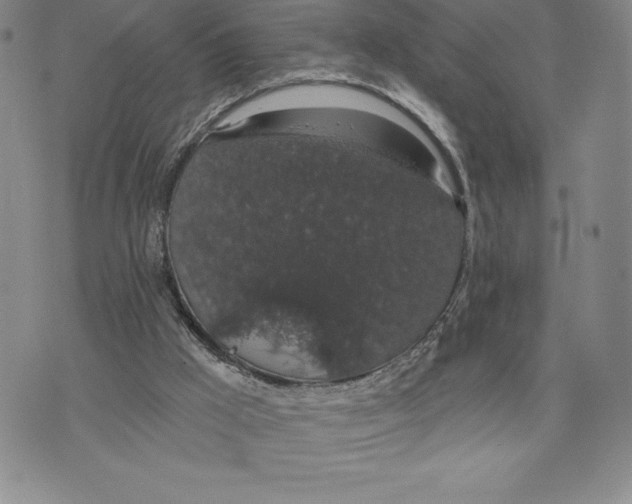 X0000075850009200610151622