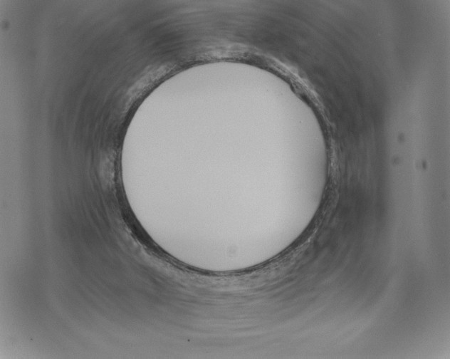 X0000075850010200610151622