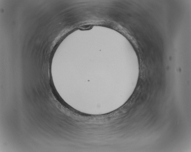 X0000075850011200610151621