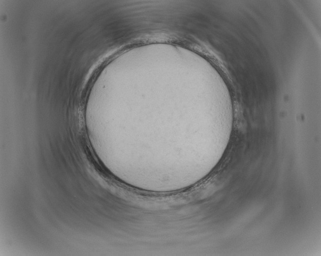 X0000075850012200610151621