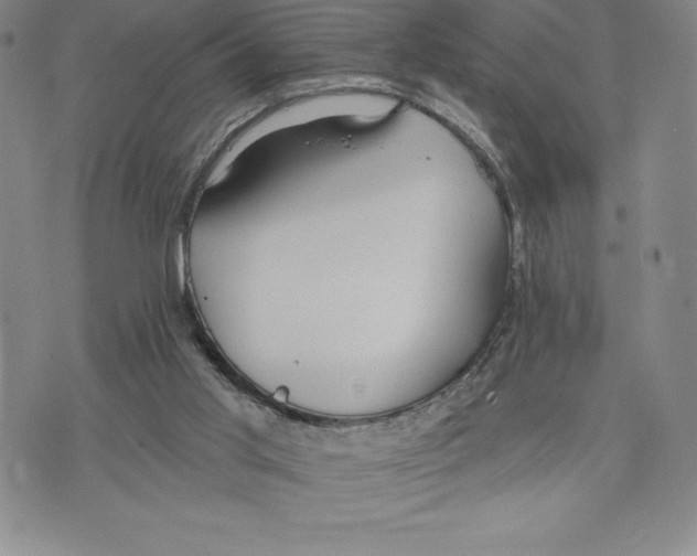 X0000075850013200610151621