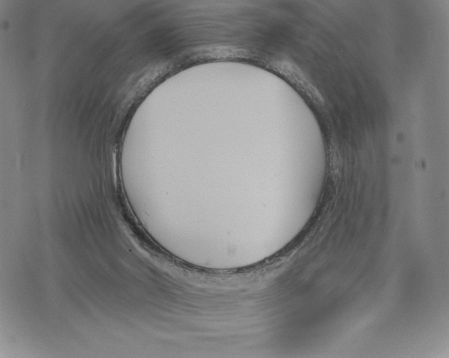 X0000075850014200610151621