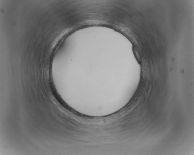 X0000075850015200610151621