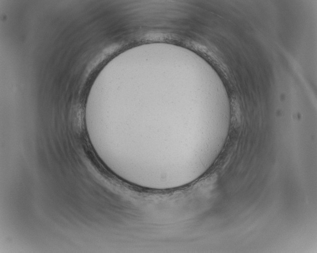 X0000075850016200610151621