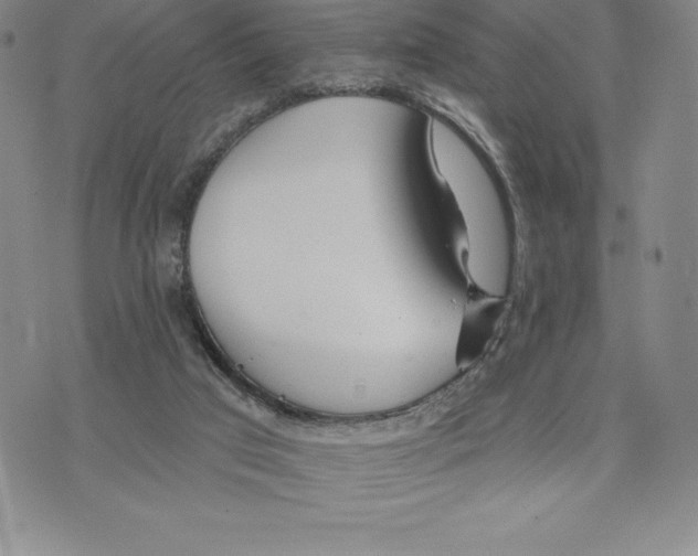 X0000075850017200610151621