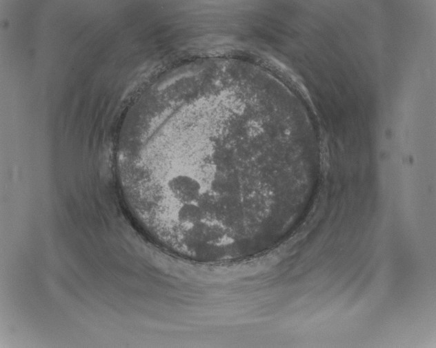 X0000075850018200610151621