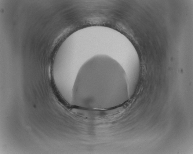 X0000075850019200610151621