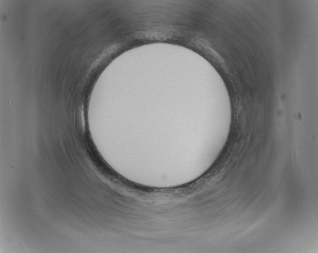 X0000075850020200610151621