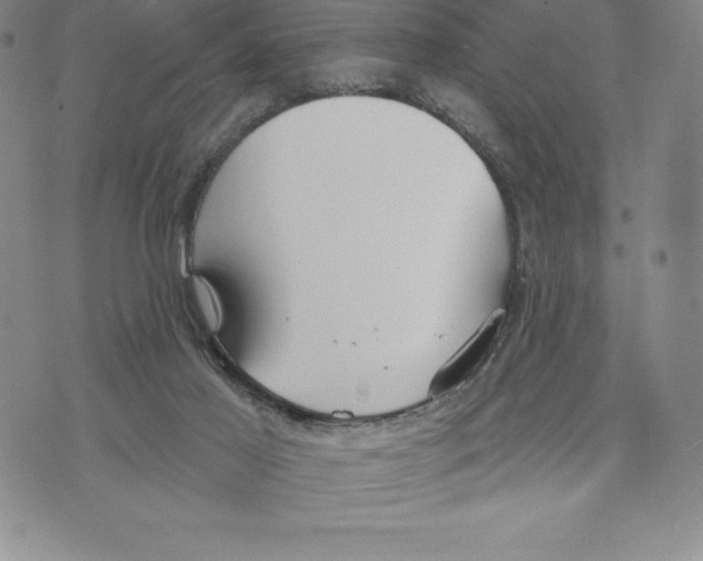 X0000075850021200610151621