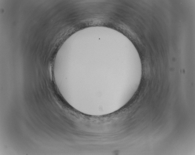 X0000075850022200610151621