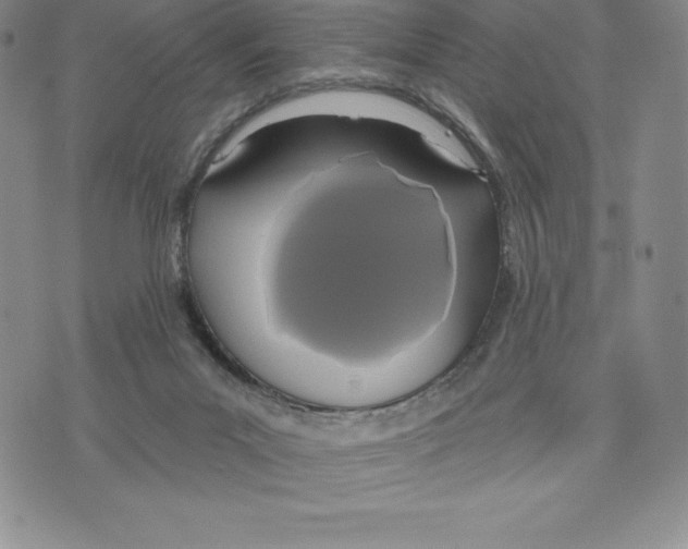 X0000075850023200610151621