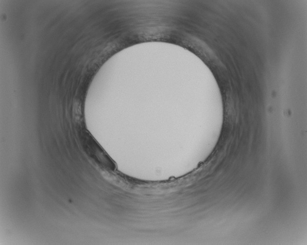 X0000075850025200610151621