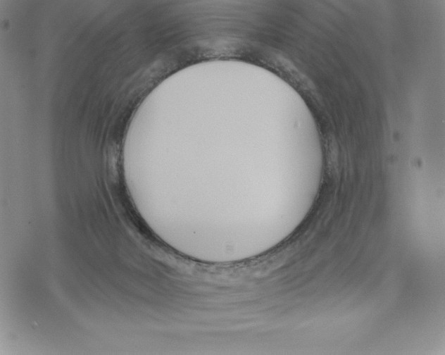 X0000075850026200610151621