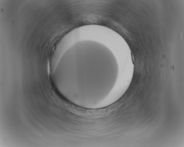 X0000075850027200610151621