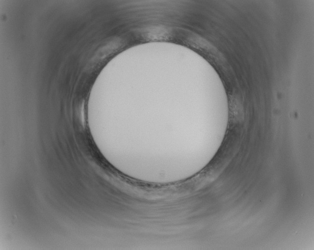 X0000075850028200610151621