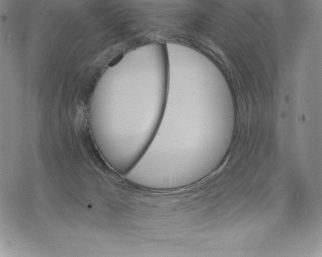 X0000075850029200610151621