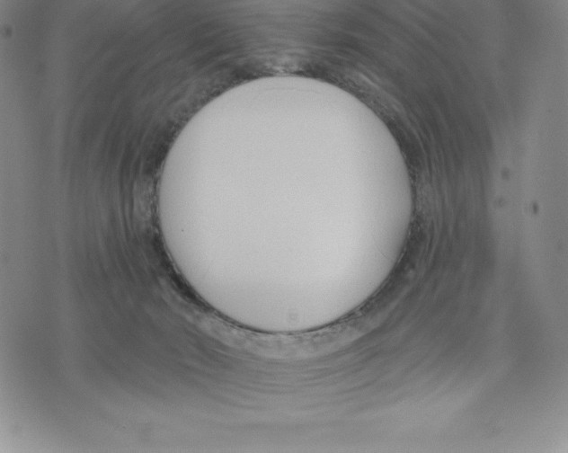 X0000075850030200610151621