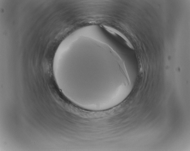 X0000075850031200610151621