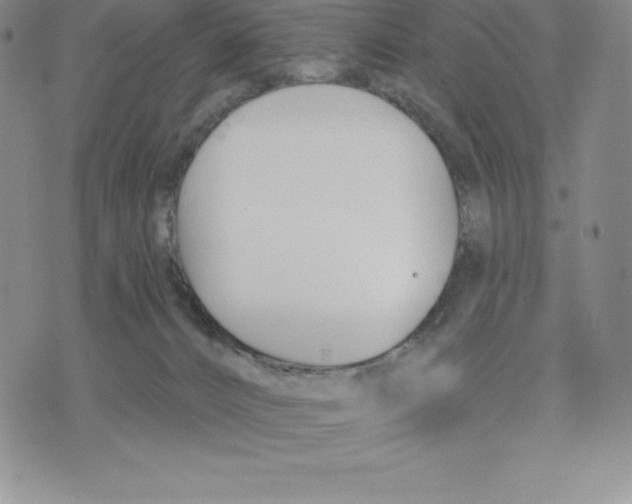 X0000075850032200610151621