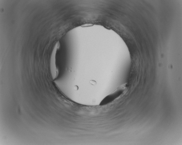 X0000075850033200610151621