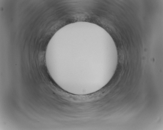 X0000075850034200610151621