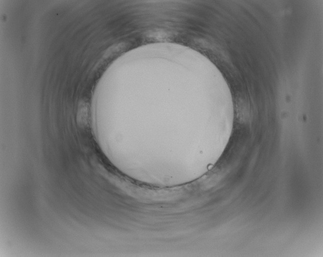 X0000075850036200610151621