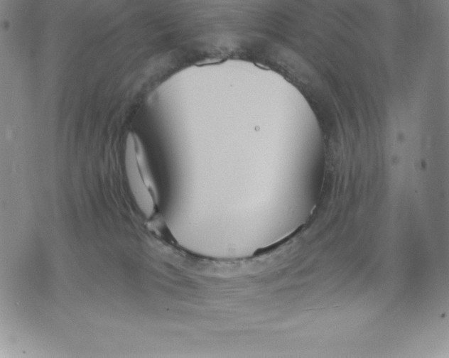 X0000075850037200610151621