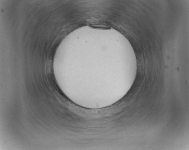 X0000075850038200610151621