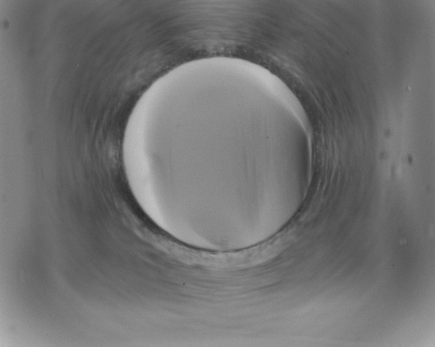 X0000075850039200610151621