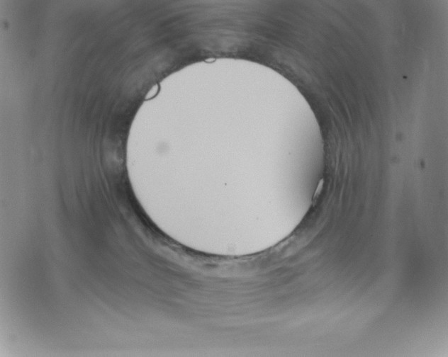 X0000075850040200610151621