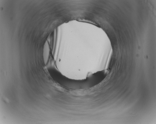 X0000075850041200610151621