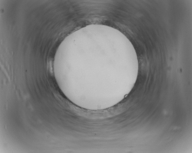 X0000075850042200610151621