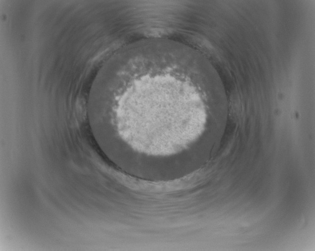 X0000075850043200610151621