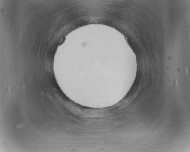 X0000075850044200610151621