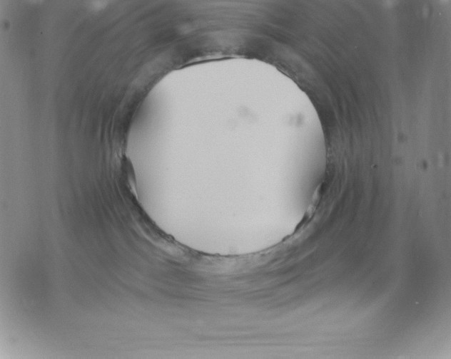 X0000075850045200610151621