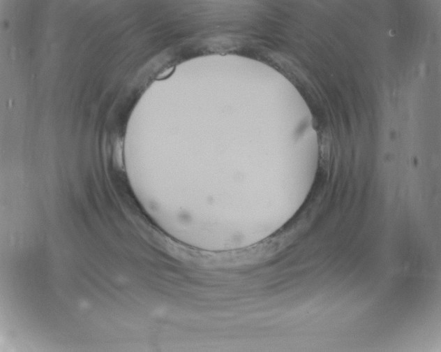 X0000075850046200610151621