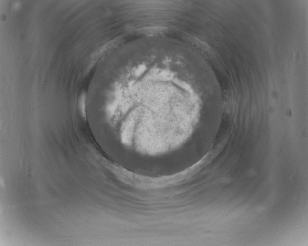 X0000075850047200610151621