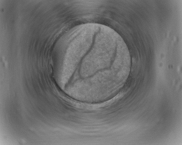 X0000075850048200610151621