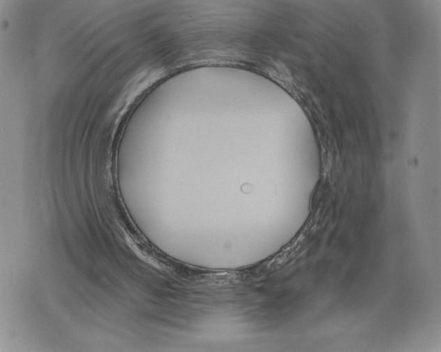 X0000075850050200610151620