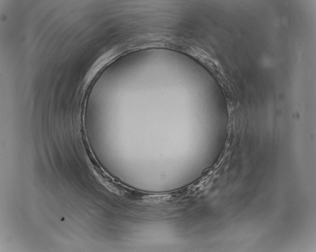 X0000075850051200610151620