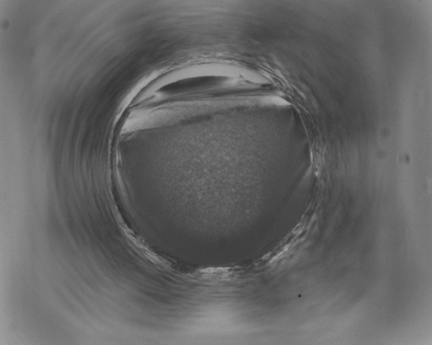 X0000075850052200610151620