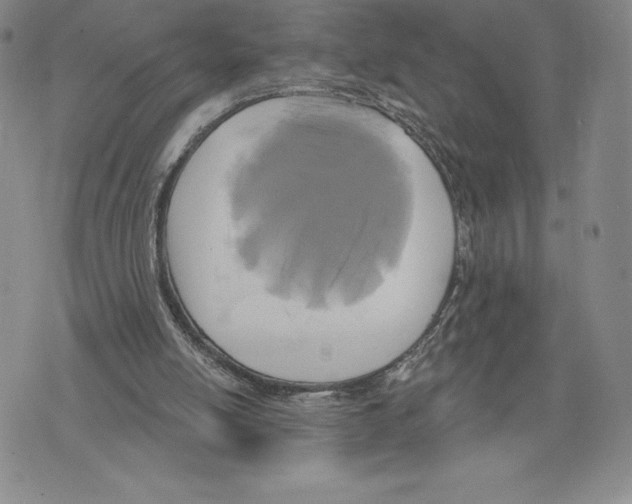 X0000075850054200610151620